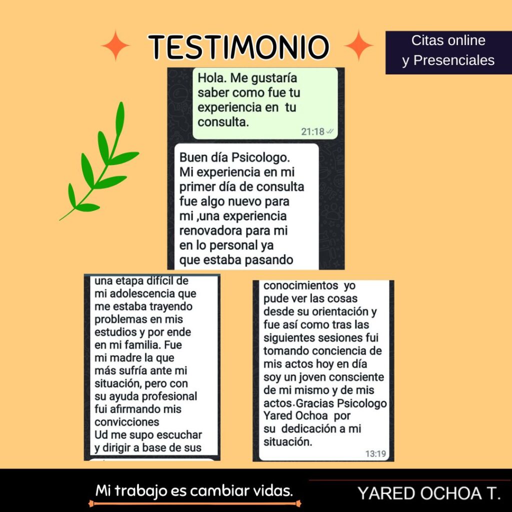 diseño sin título (10)