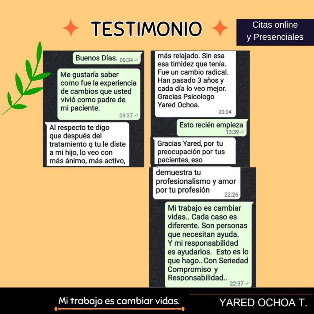 diseño sin título (8)