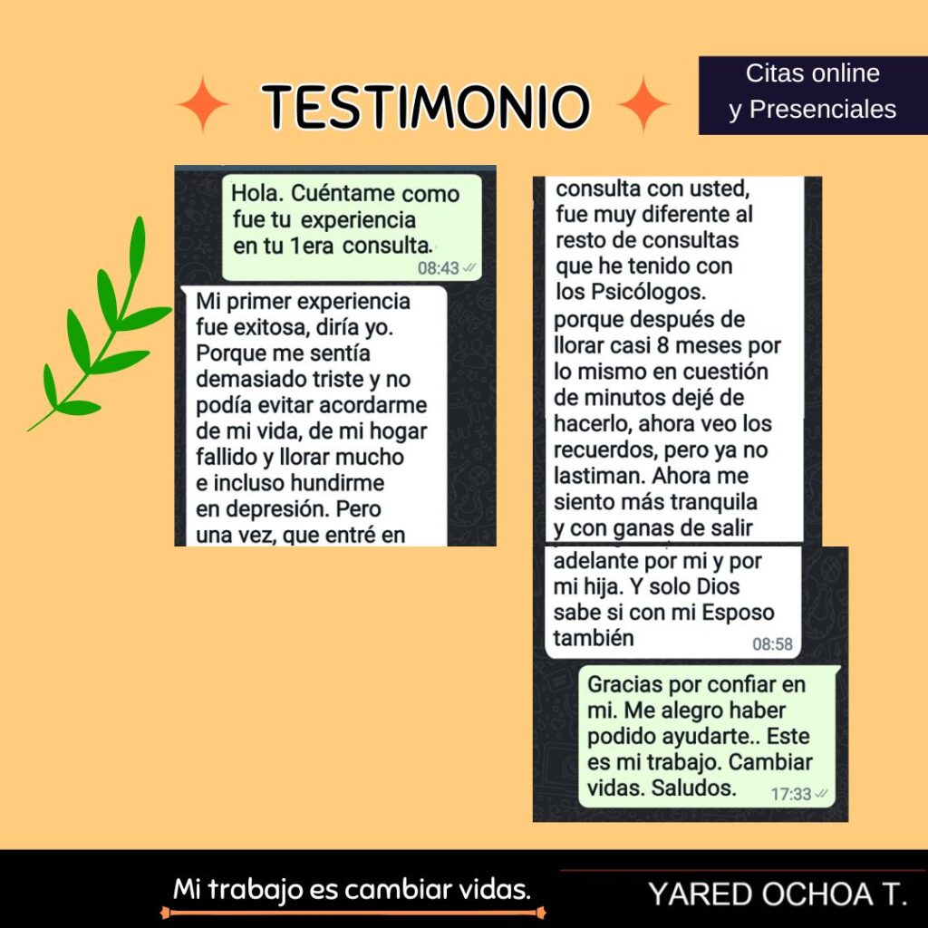 testimonios wed (2)