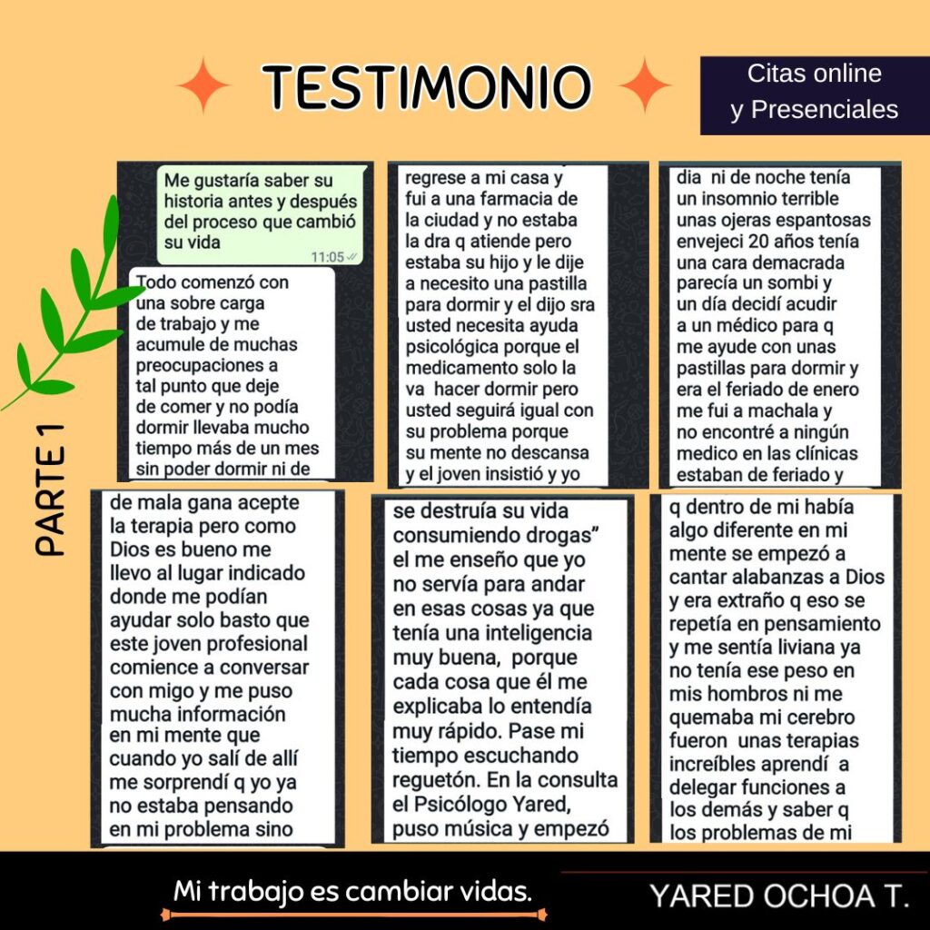 testimonios wed (4)